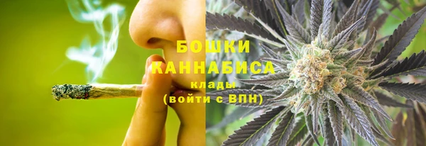 молекула духа Балахна