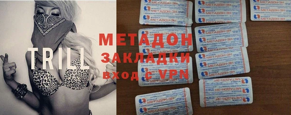 индика Няндома