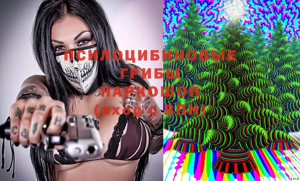 молекула духа Балахна