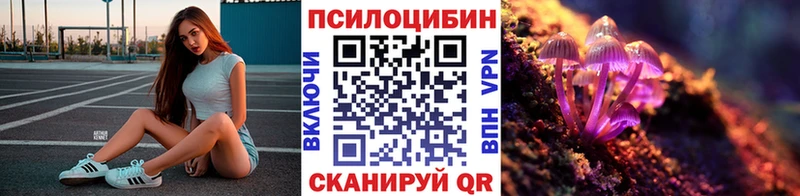 Галлюциногенные грибы мицелий Петровск-Забайкальский
